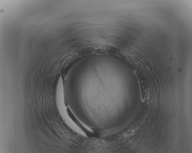 X0000066510916200603311725