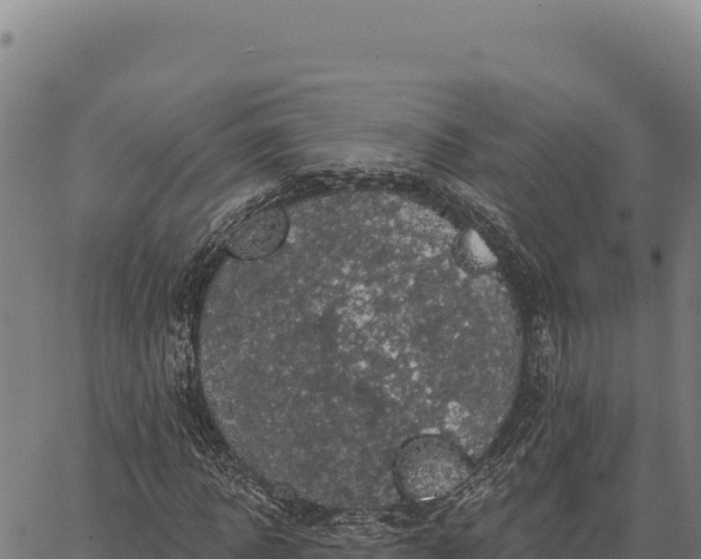 X0000066510918200603311725