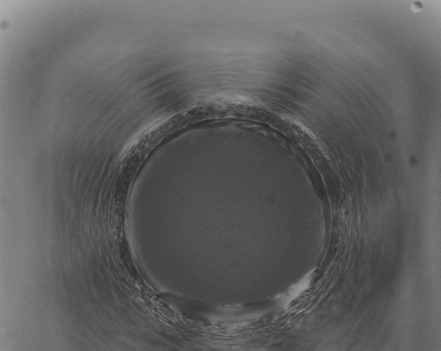 X0000066510919200603311725