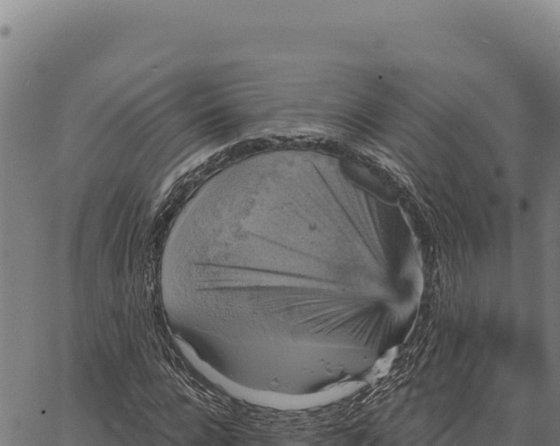 X0000066510920200603311725