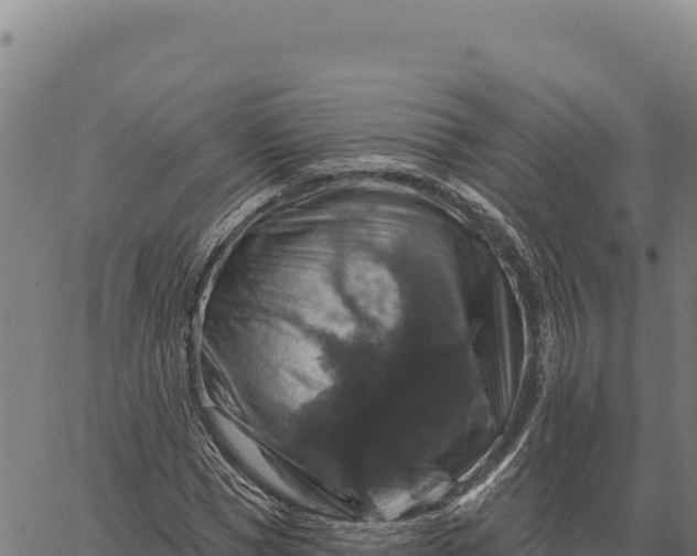 X0000066510921200603311726