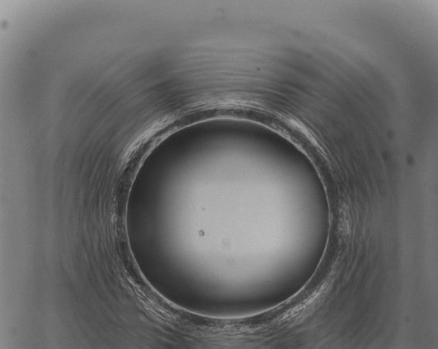 X0000066510922200603311726