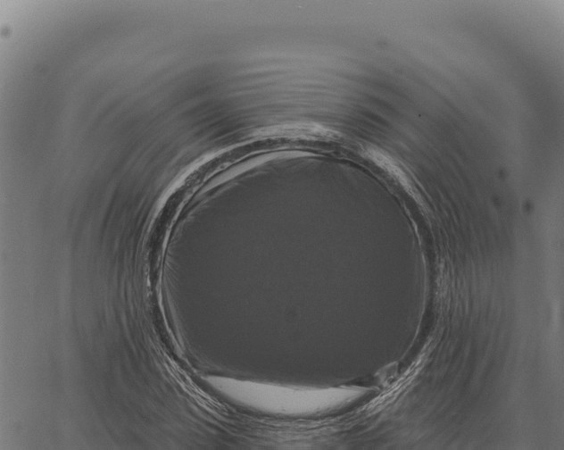 X0000066510923200603311726