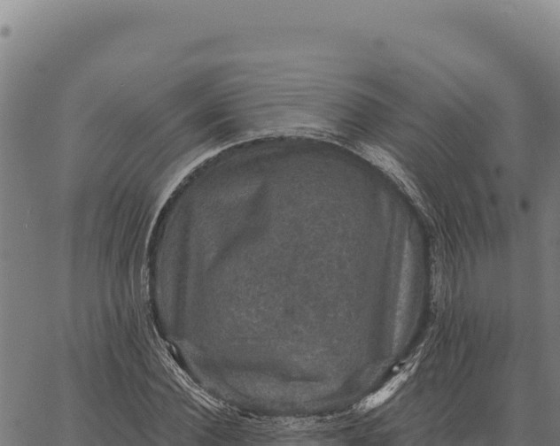 X0000066510924200603311726