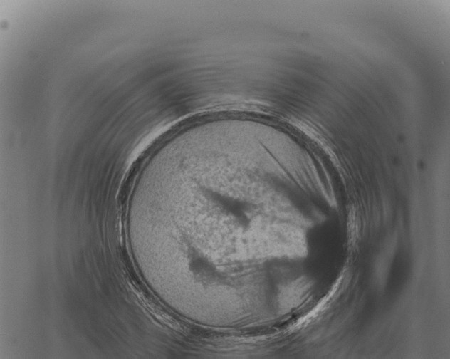 X0000066510925200603311726