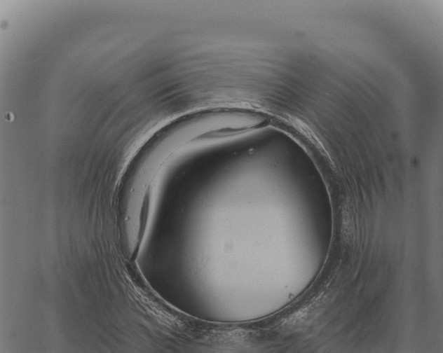 X0000066510926200603311726