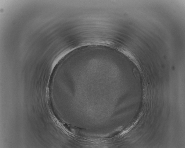 X0000066510928200603311726