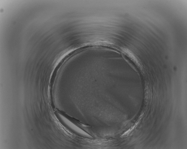 X0000066510932200603311726