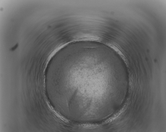 X0000066510933200603311726