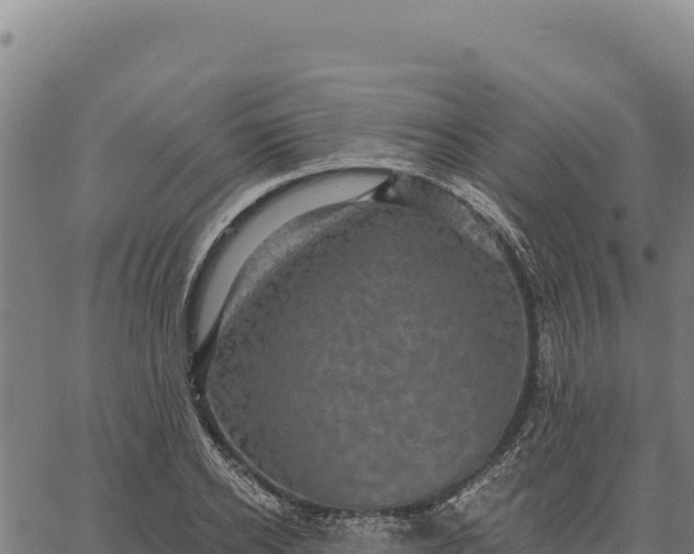 X0000066510934200603311726