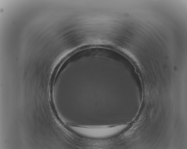 X0000066510935200603311726