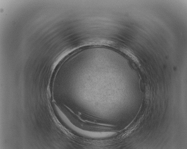 X0000066510936200603311726