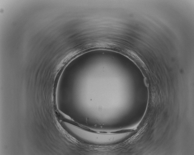 X0000066510938200603311726