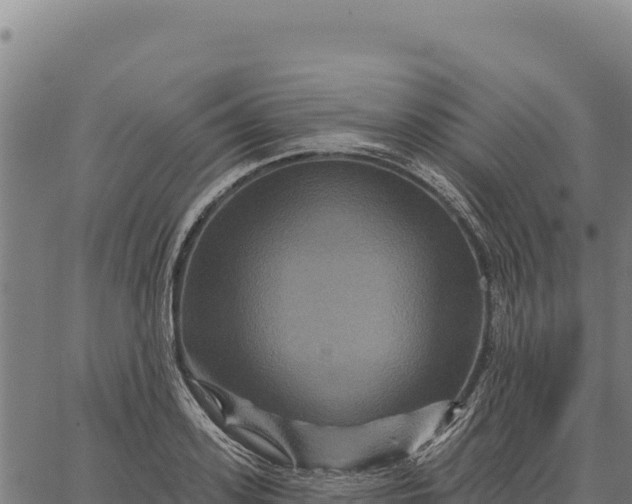 X0000066510939200603311726