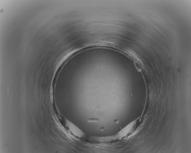 X0000066510940200603311726