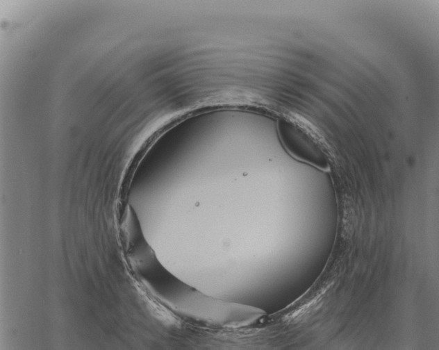 X0000066510942200603311726