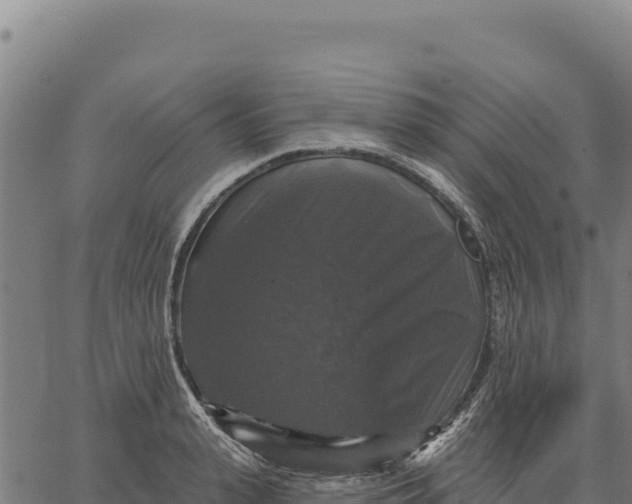 X0000066510943200603311726