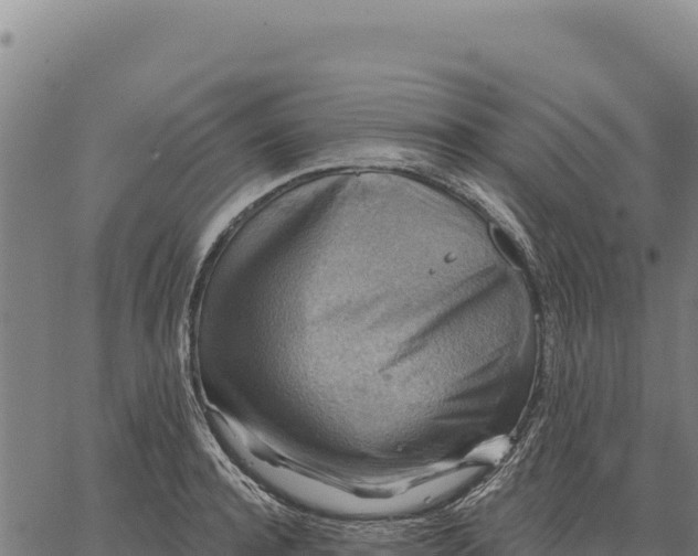 X0000066510944200603311726