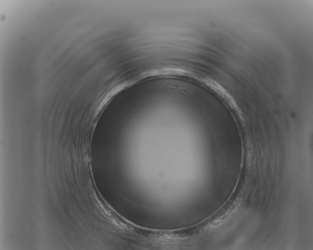 X0000066510945200603311726