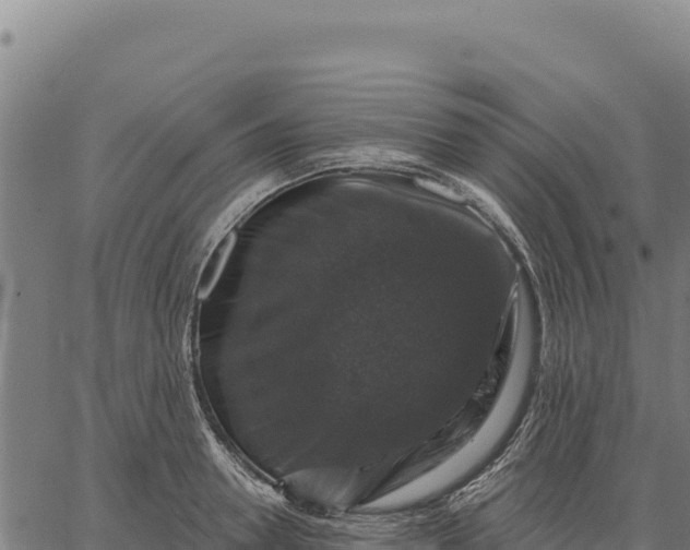 X0000066510946200603311726