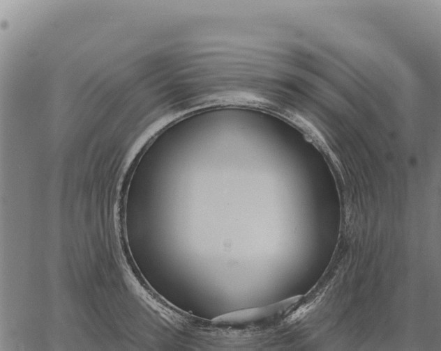 X0000066510947200603311726