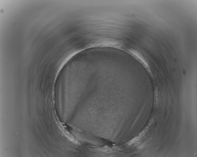 X0000066510948200603311726