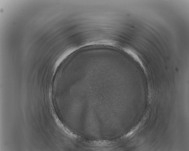 X0000066510952200603311726