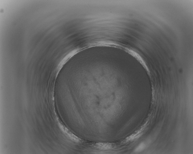 X0000066510954200603311726