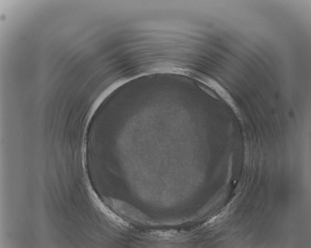 X0000066510955200603311726