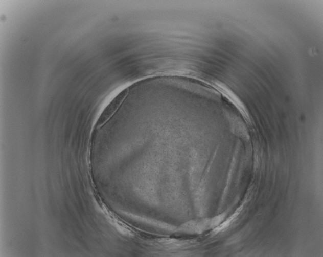 X0000066510956200603311726