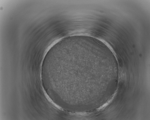 X0000066510957200603311726