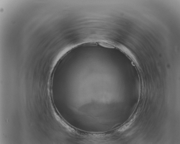 X0000066510958200603311726