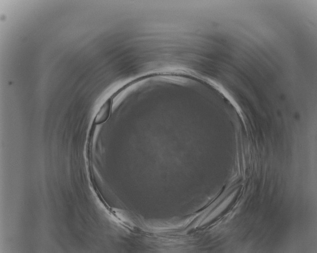 X0000066510959200603311726