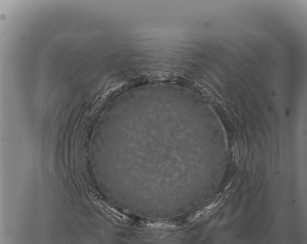 X0000066510961200603311725