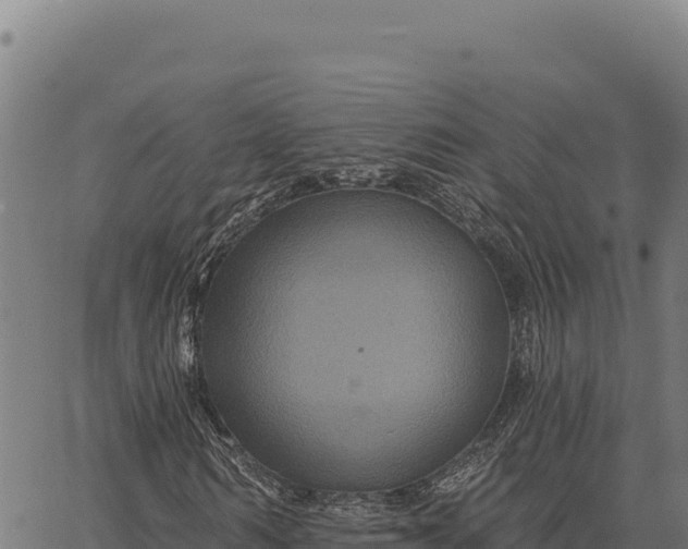 X0000066510962200603311725