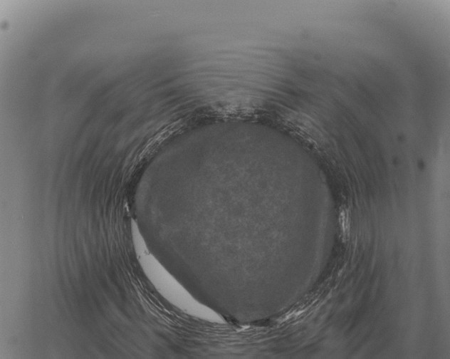 X0000066510963200603311725