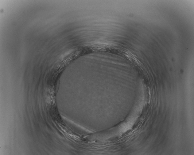 X0000066510964200603311725