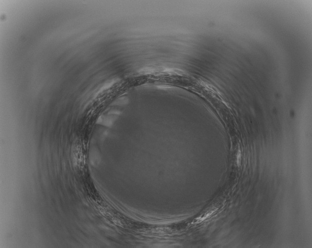 X0000066510966200603311725