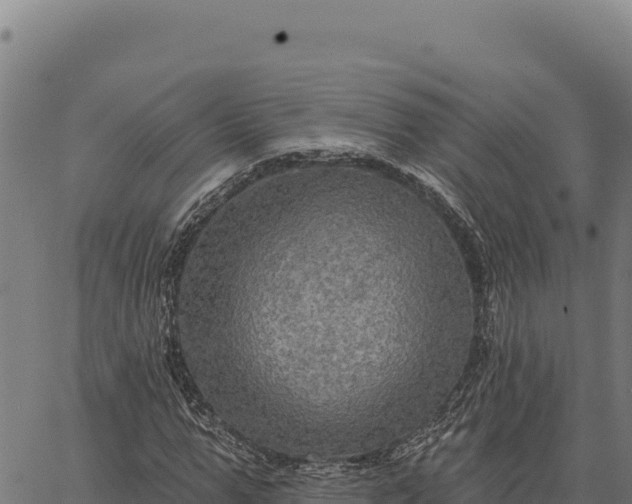 X0000066510967200603311725