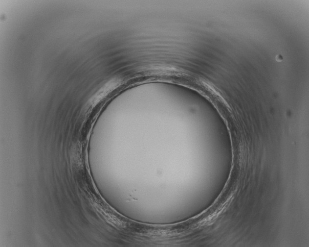 X0000066510970200603311725