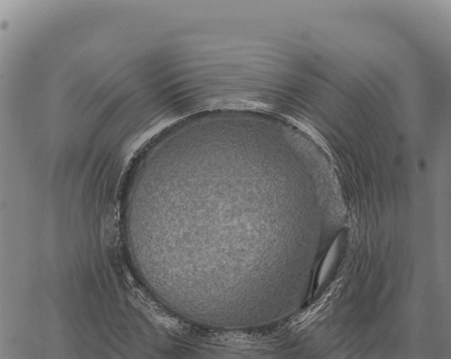 X0000066510971200603311725