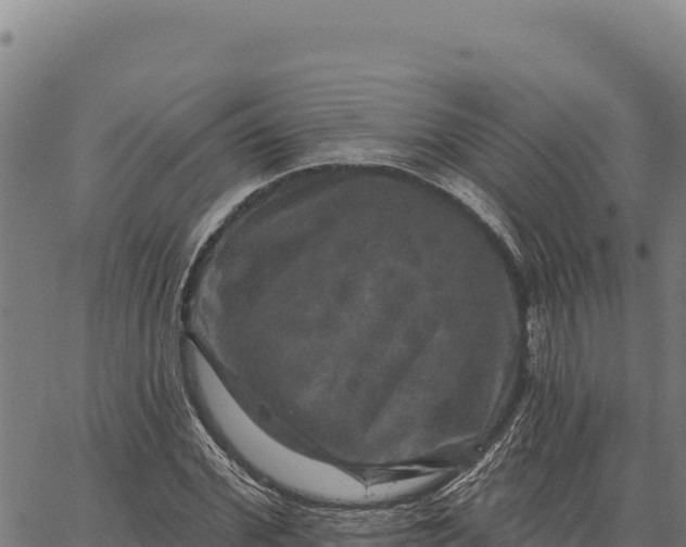 X0000066510972200603311725