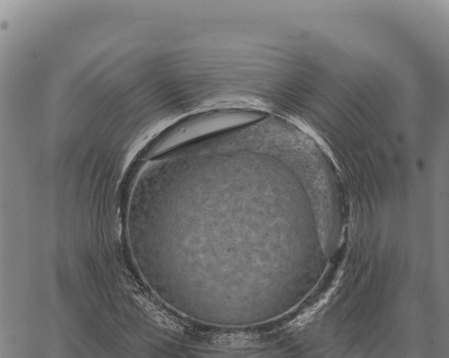 X0000066510973200603311725