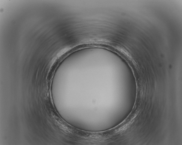 X0000066510974200603311725