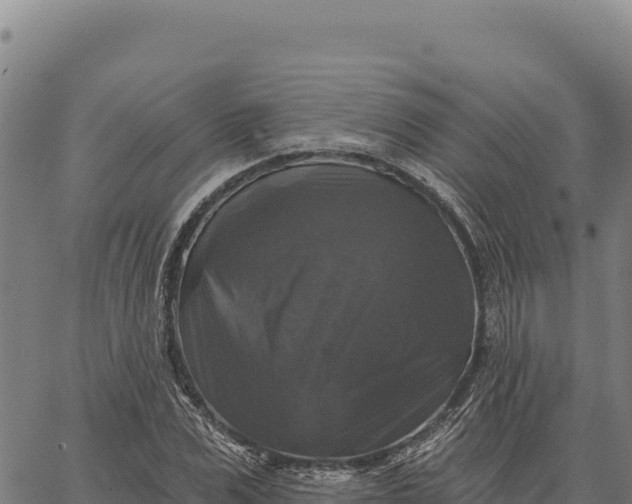 X0000066510975200603311725