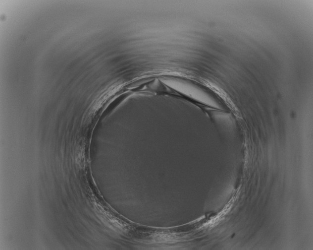 X0000066510977200603311725