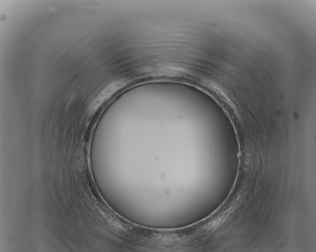 X0000066510978200603311725