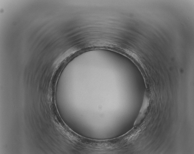 X0000066510979200603311725