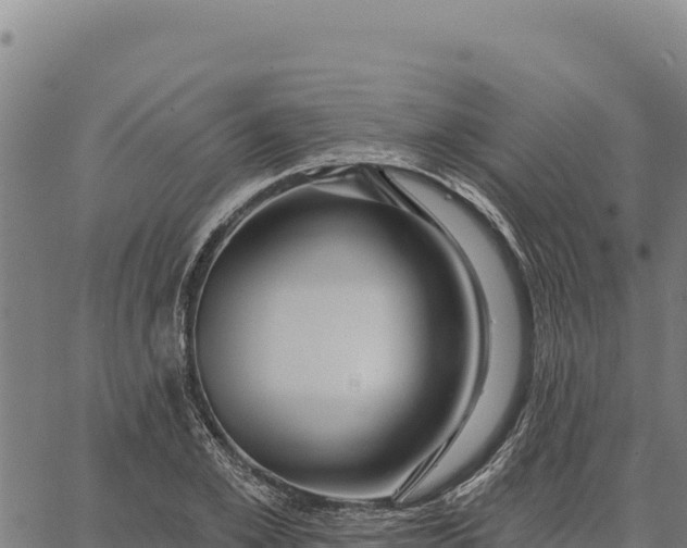 X0000066510981200603311725