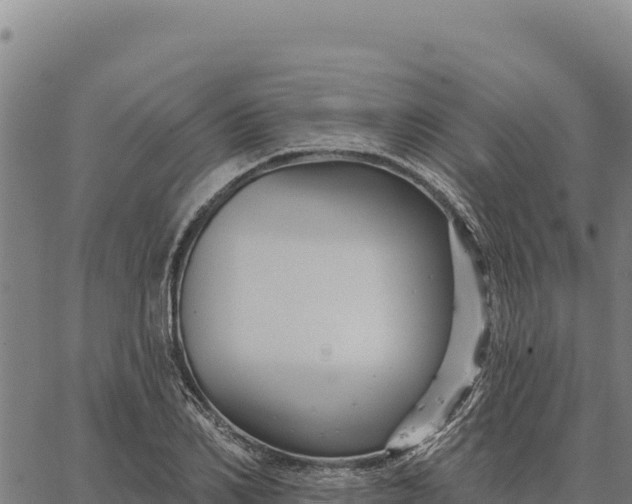 X0000066510982200603311725